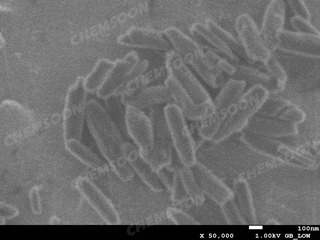 SEM-2um