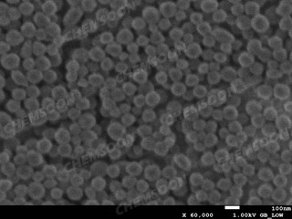 SEM-PCN-224-Fe nanoparticles